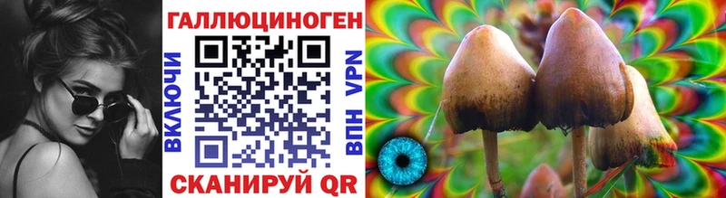 дарк нет формула  Волжский  блэк спрут ТОР  Галлюциногенные грибы GOLDEN TEACHER  где найти  