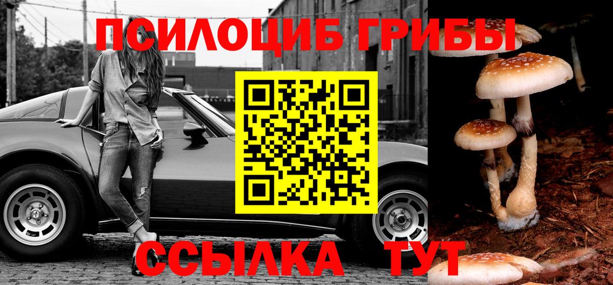 Галлюциногенные грибы Psilocybe  Вход с VPN  Волжский 